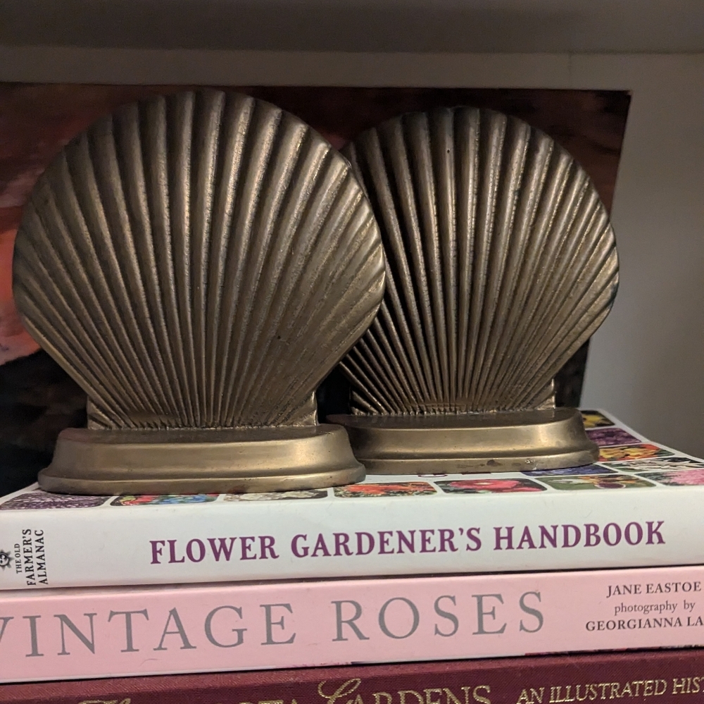 Brass sea shell bookends